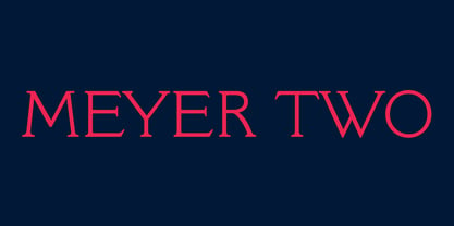Meyer Two Font Poster 1